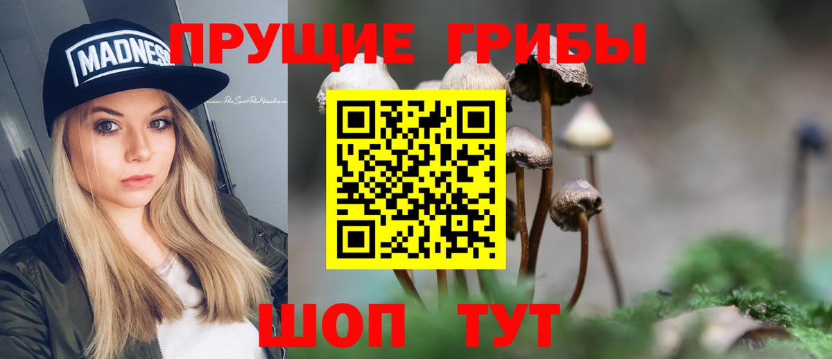 Галлюциногенные грибы мухоморы  закладки  Лесной  Вход с VPN 